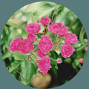 Ranieri Wanderlingh Naturalismi