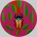 Ranieri Wanderlingh Pop Concettuale