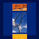 Ranieri Wanderlingh Pop Concettuale