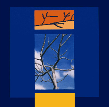 Albero d&acute;inverno